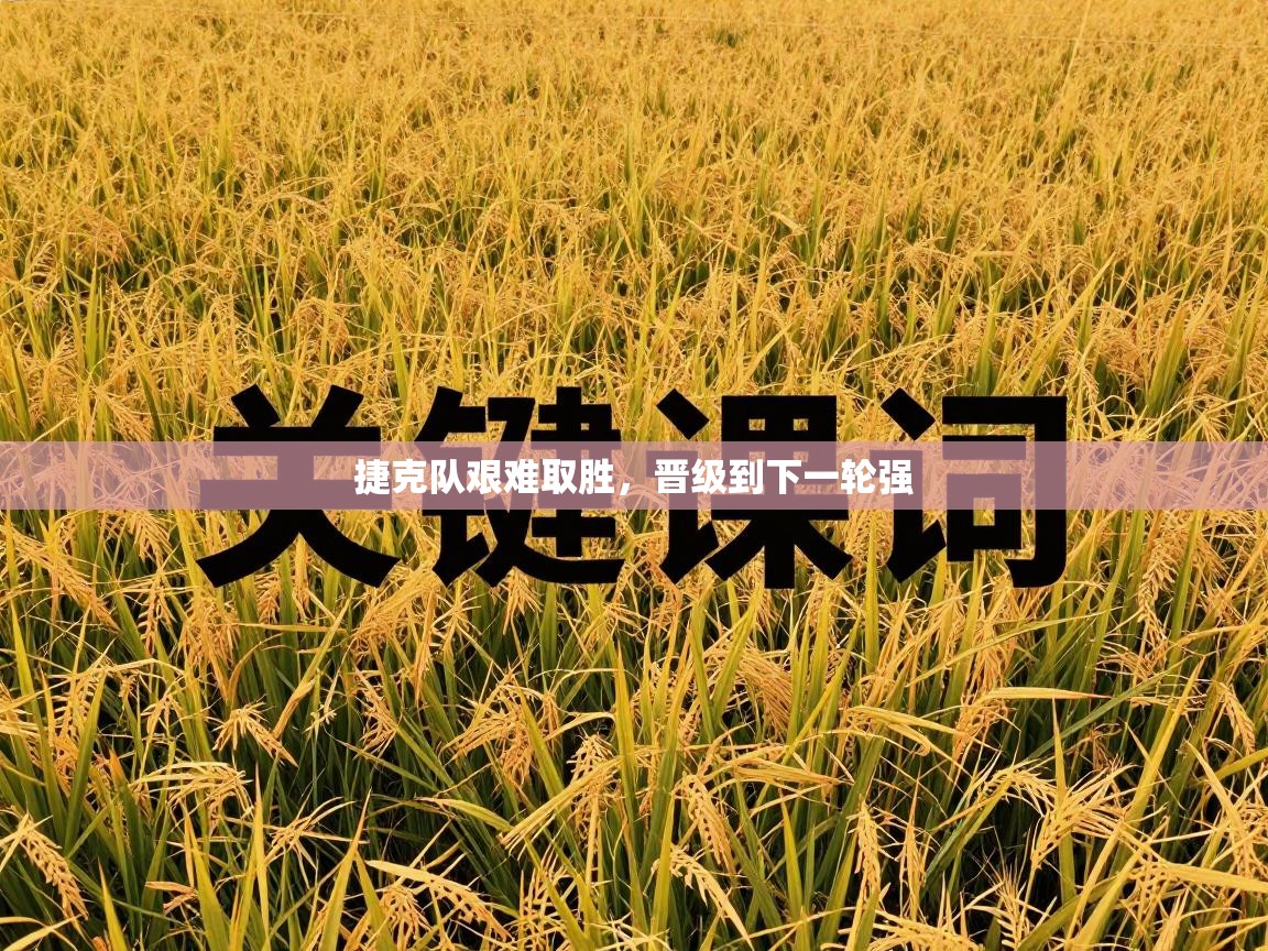 捷克队艰难取胜，晋级到下一轮强