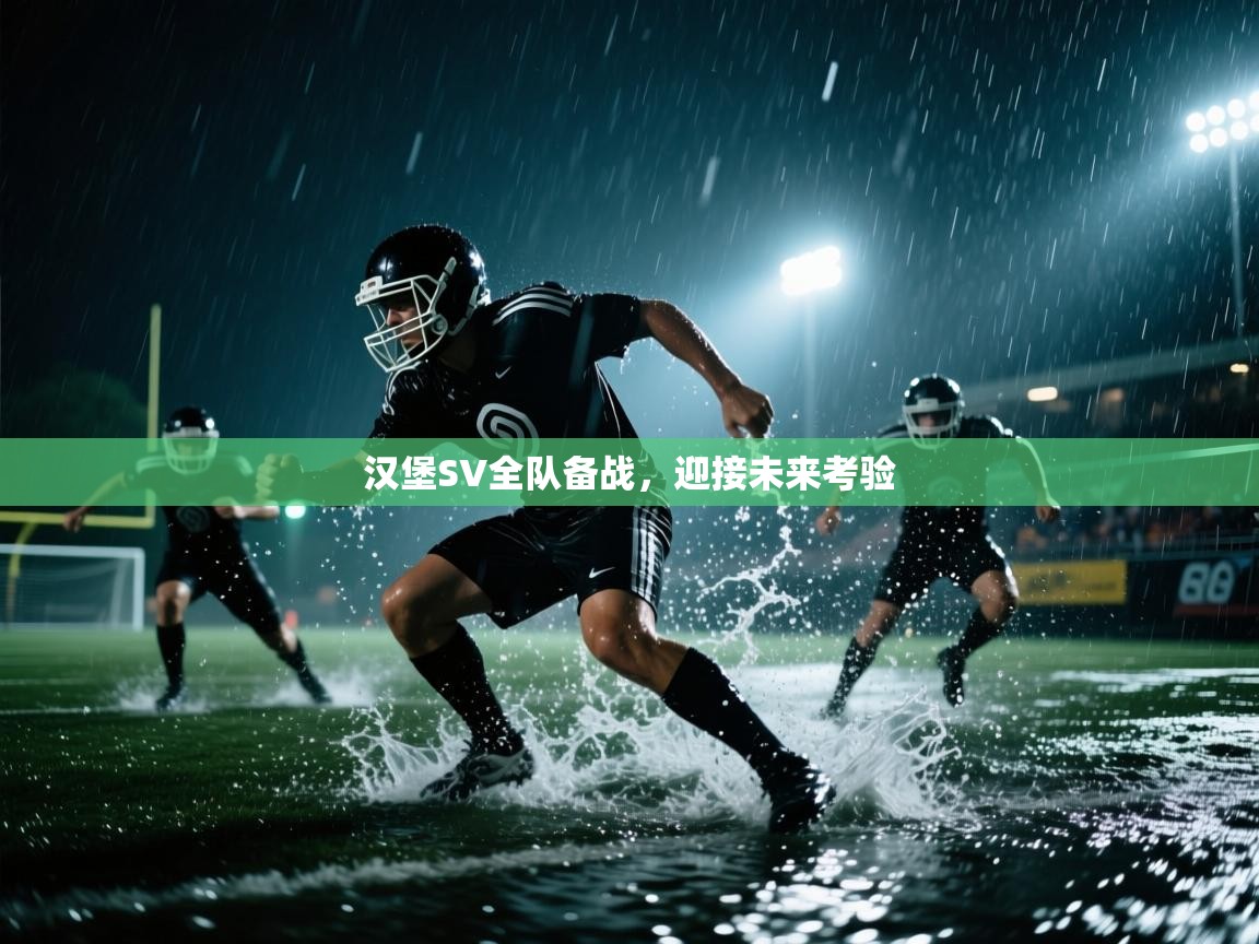 汉堡SV全队备战，迎接未来考验