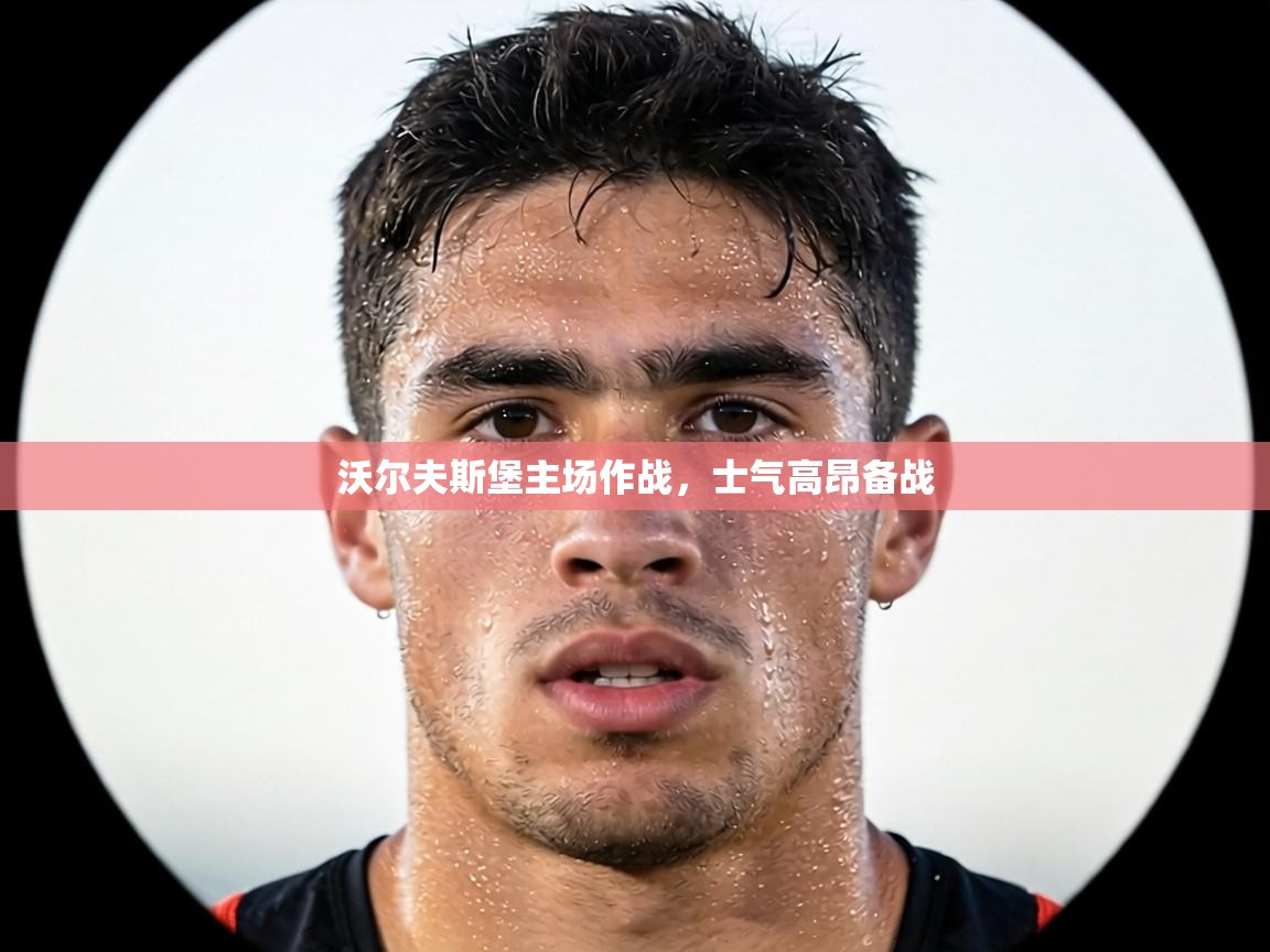 沃尔夫斯堡主场作战，士气高昂备战  第2张